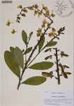 000188516-thumbnail.jpg