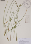 000188518-thumbnail.jpg