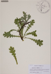 000188538-thumbnail.jpg