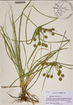 000188544-thumbnail.jpg
