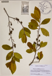 000188569-thumbnail.jpg