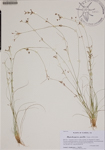 000188590-thumbnail.jpg