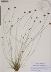 000188602-thumbnail.jpg