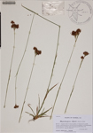 000188614-thumbnail.jpg
