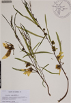 000188640-thumbnail.jpg