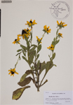 000188662-thumbnail.jpg