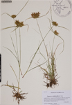 000188695-thumbnail.jpg