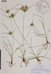 000188705-thumbnail.jpg
