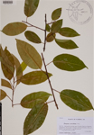 000188744-thumbnail.jpg