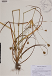 000188777-thumbnail.jpg