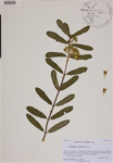 000188779-thumbnail.jpg