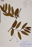 000188783-thumbnail.jpg