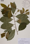 000188789-thumbnail.jpg