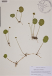 000188818-thumbnail.jpg