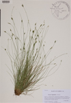 000188826-thumbnail.jpg