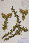 000188864-thumbnail.jpg