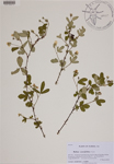 000188873-thumbnail.jpg