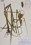 000188887-thumbnail.jpg