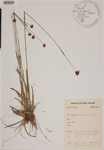 000188948-thumbnail.jpg