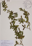 000189017-thumbnail.jpg
