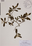 000189022-thumbnail.jpg