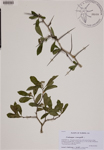 000189023-thumbnail.jpg