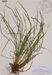 000189031-thumbnail.jpg