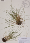 000189032-thumbnail.jpg