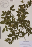 000189046-thumbnail.jpg