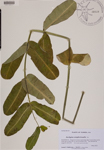 000189047-thumbnail.jpg