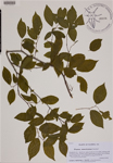000189062-thumbnail.jpg