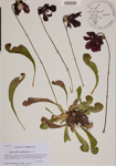 000189077-thumbnail.jpg