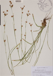 000189098-thumbnail.jpg