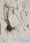000189099-thumbnail.jpg