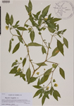 000189140-thumbnail.jpg