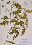 000189143-thumbnail.jpg