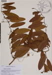 000189170-thumbnail.jpg