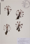 000189187-thumbnail.jpg