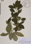 000189209-thumbnail.jpg