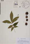 000189210-thumbnail.jpg