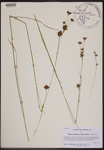 000189401-thumbnail.jpg