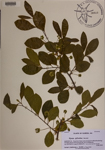 000189454-thumbnail.jpg