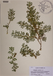 000189460-thumbnail.jpg