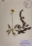000189470-thumbnail.jpg
