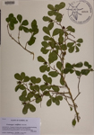 000189473-thumbnail.jpg