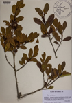 000189476-thumbnail.jpg