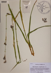 000189491-thumbnail.jpg