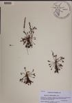 000189508-thumbnail.jpg