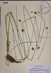 000189510-thumbnail.jpg