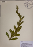 000189522-thumbnail.jpg